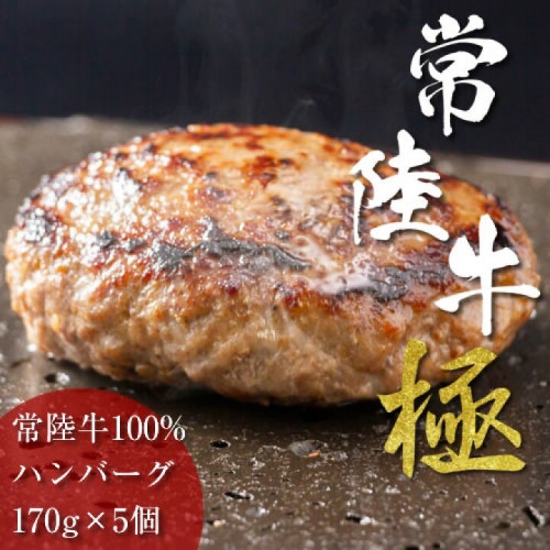 茨城県産黒毛和牛　【常陸牛100％ビーフハンバーグ5個入り】  化粧箱入りギフト用