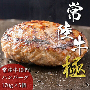 茨城県産黒毛和牛　【常陸牛100％ビーフハンバーグ5個入り】  化粧箱入りギフト用